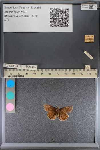 Media type: image;   Entomology 199002